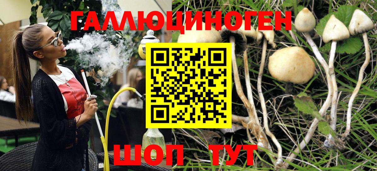 Галлюциногенные грибы прущие грибы Краснодар