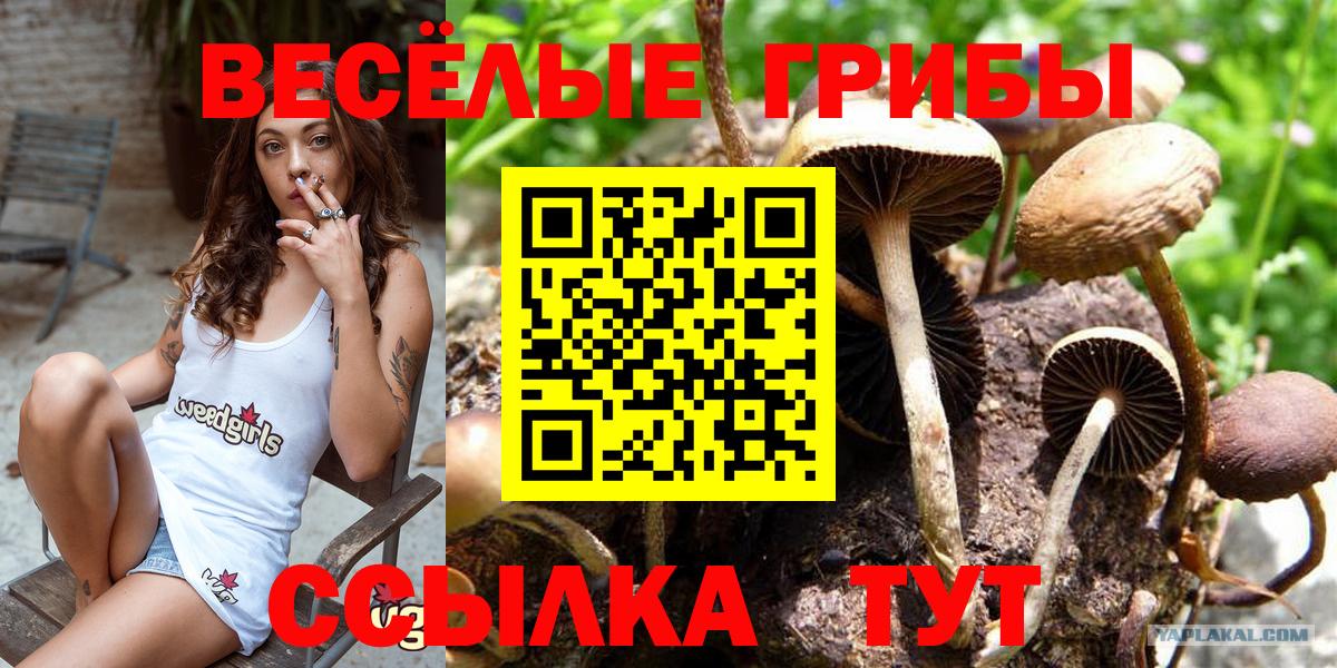 наркотики  Вход с VPN  Краснодар  Галлюциногенные грибы ЛСД  Галлюциногенные грибы Cubensis 